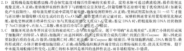 江苏省2026届新高考基地学校第一次大联考(12月)生物答案