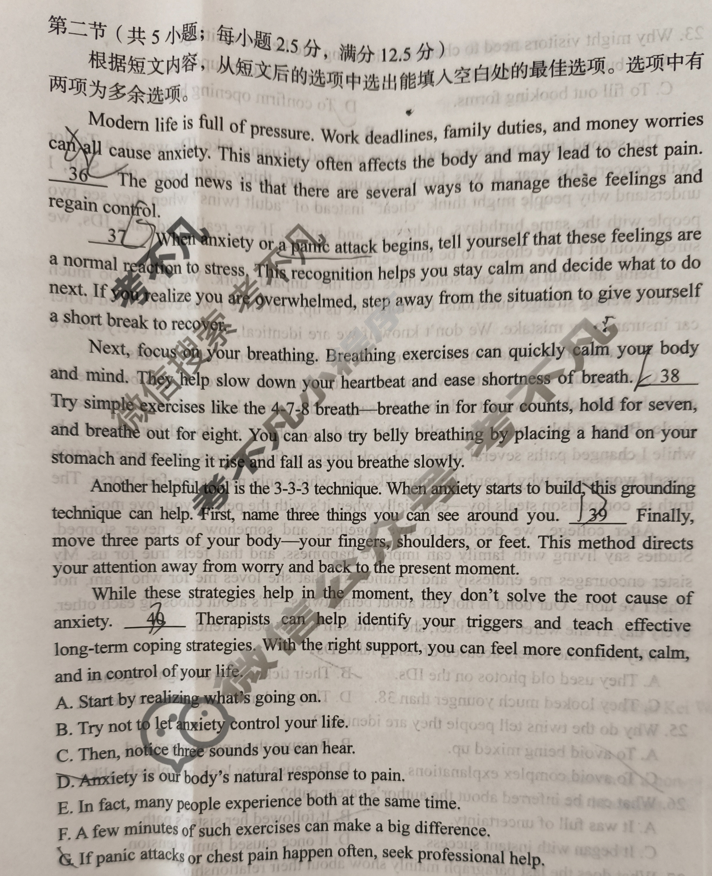 [1号卷]A10联盟2024级高二12月学情检测英语试题