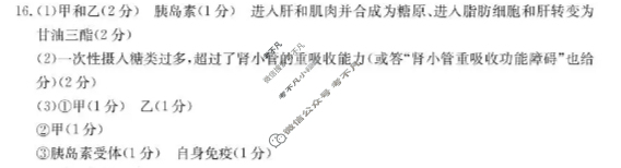 福建省金太阳2026届高三12月试卷(12.25)生物答案