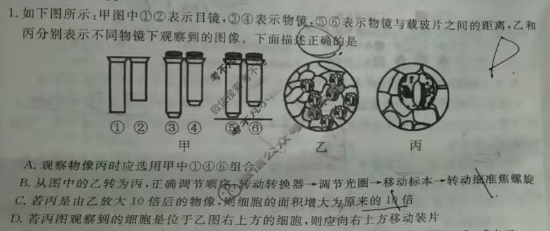 衡水金卷先享题 2025-2026学年度上学期高三年级六调考试·月考卷 生物学试题