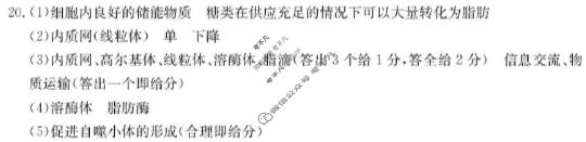 江苏省金太阳2025-2026学年高一年级12月联考(12.24)生物答案