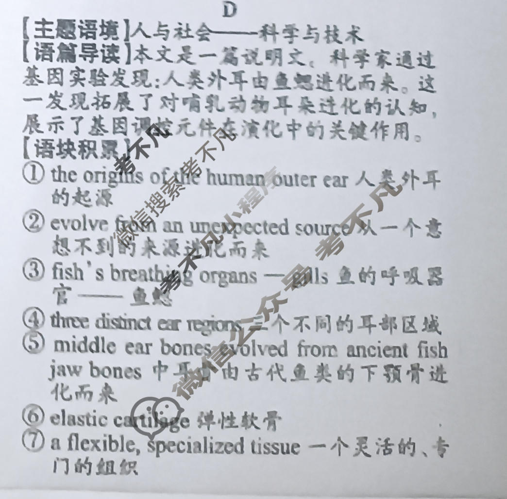 [双语学习报]2025-2026学年高三·新高考 强化版第11期答案