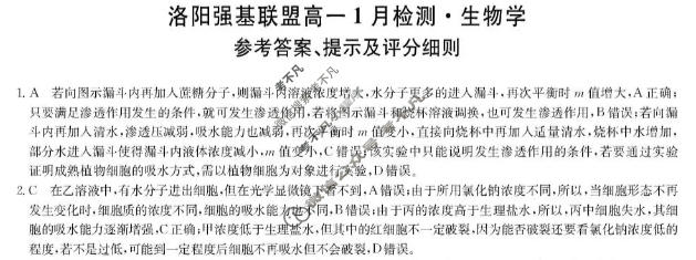 [洛阳强基联盟]2025-2026学年高一1月联考生物答案