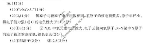 山东省泰安市2025-2026学年上学期高三年级联考(1月)化学答案