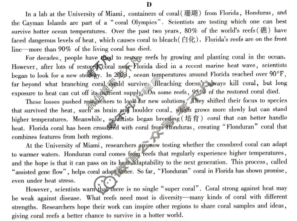 [天一大联考]2025-2026学年高二年级阶段性测试(二)2英语试题