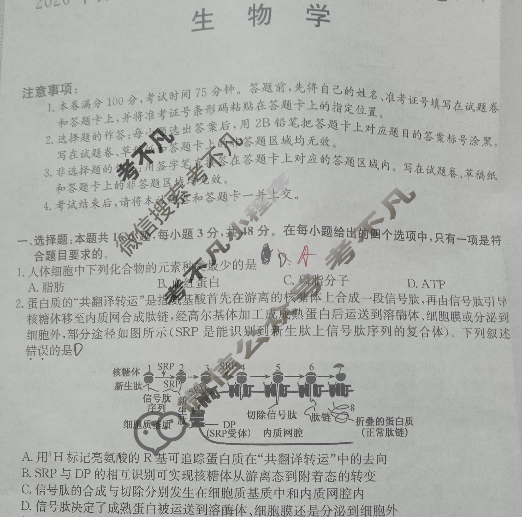 高三2026年普通高中学业水平选择性考试仿真模拟卷(一)1生物E2试题