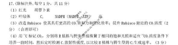 豫西北教研联盟(洛平许济)2025-2026学年高三质量检测生物答案