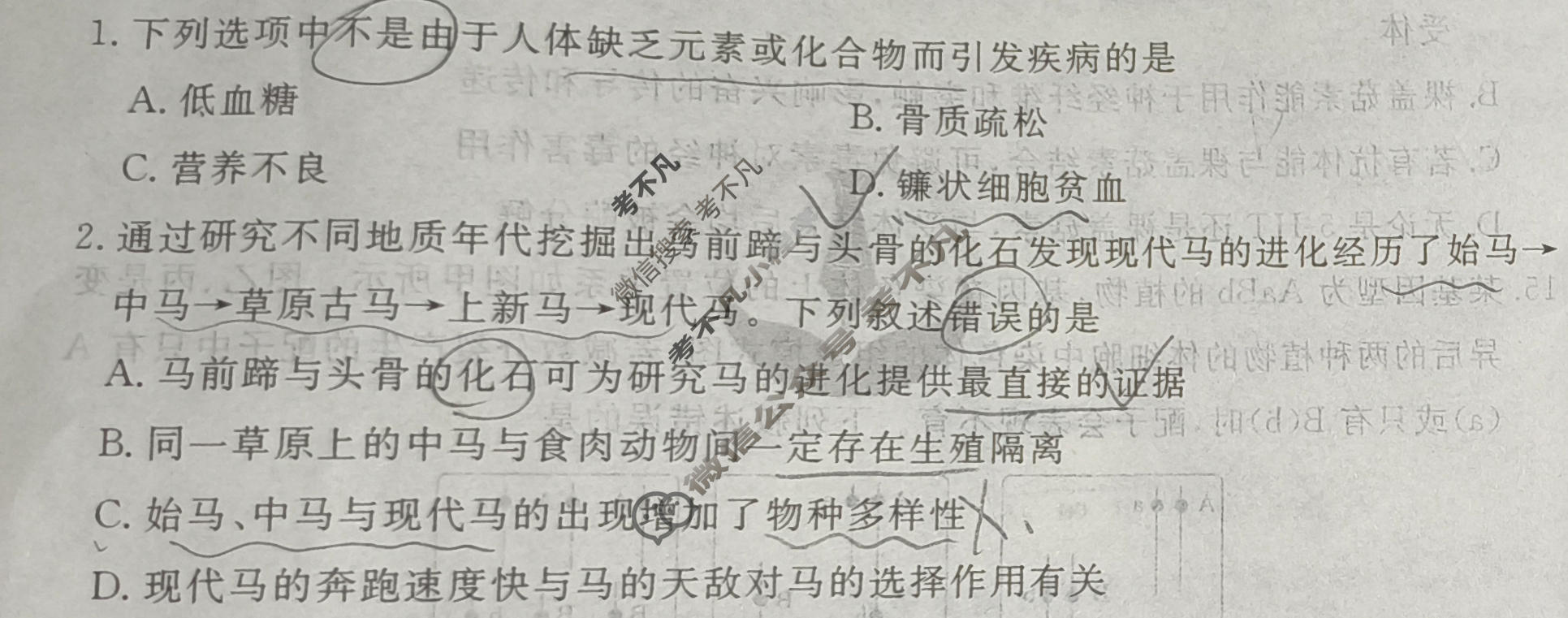 2026年衡水金卷先享题·高三一轮复习夯基卷 生物学Y(三)3试题