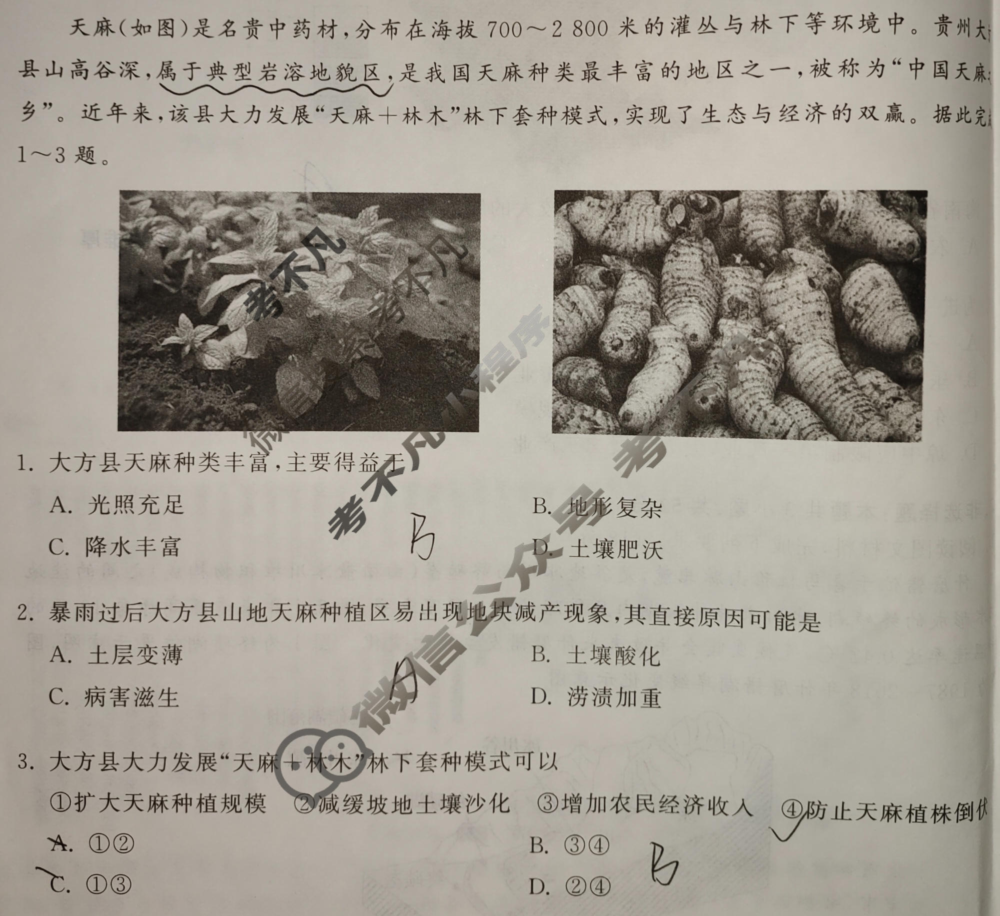 [天舟益考衡中同卷]2026年普通高中学业水平选择性考试模拟调研卷地理WY(一)1试题
