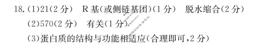 甘肃省金太阳2025-2026学年高一年级阶段性检测(1.7)生物答案