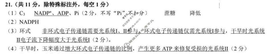 2026年沈阳市高中三年级教学质量监测(一)1(沈阳一模)生物答案