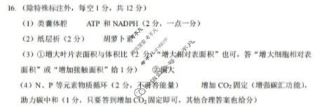 重庆市2025-2026学年高三年级上学期1月月考(黑黑白黑黑黑白白)生物答案