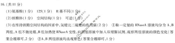 [天一大联考]2025-2026学年海南省上学期高一1月联考生物答案