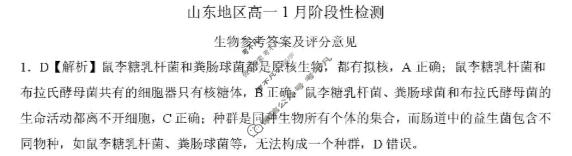 [百师联盟]2025-2026学年山东地区高一1月阶段性检测生物答案