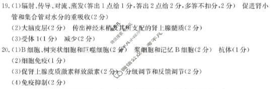 河北省金太阳2025-2026学年高二1月联考(1.20)生物答案
