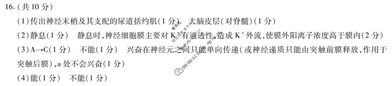 [天一大联考]2025-2026学年海南省上学期高二1月联考生物答案