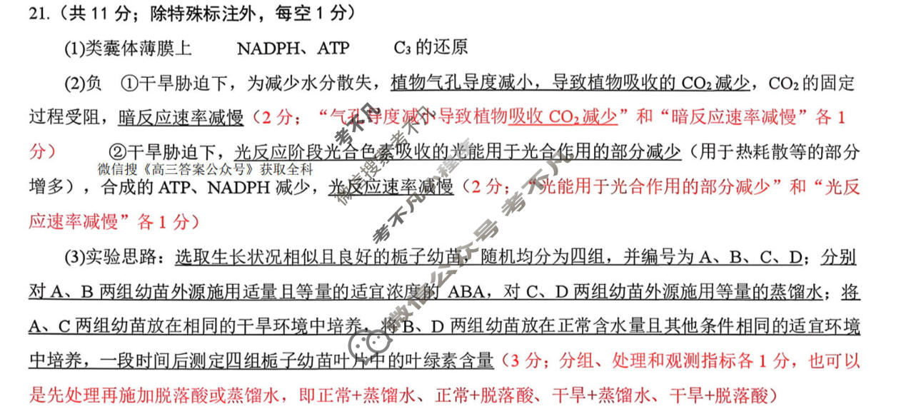 辽南协作体2025-2026学年上学期期末考试高三试题生物答案