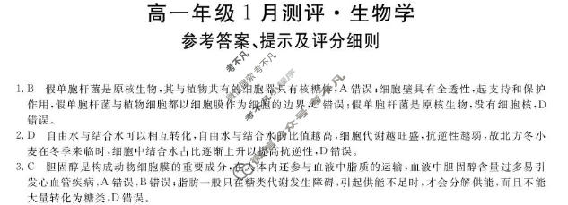 河南省新未来2025-2026学年高一1月测评(6282A)生物答案