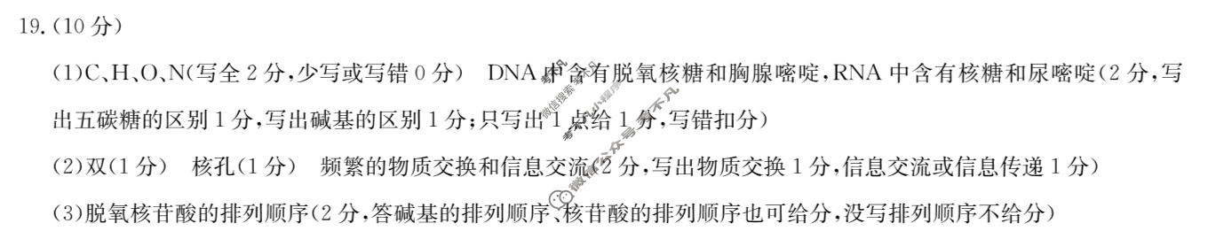 [九师联盟]河北省2025-2026学年上学期高一年级1月联考生物答案