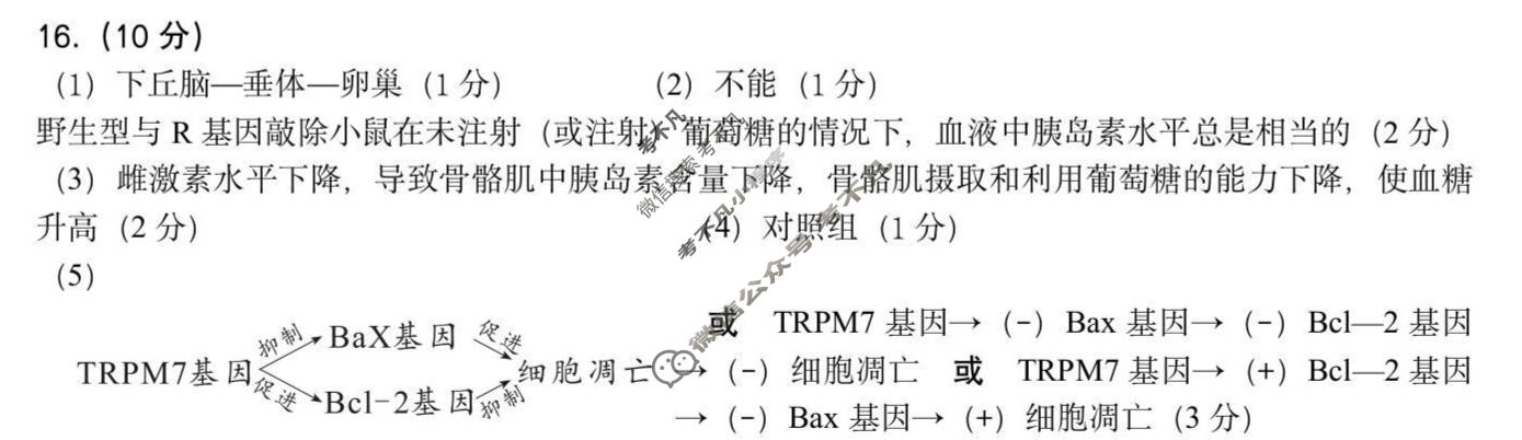 2026届绵阳市高中2023级第二次诊断性考试[绵阳二诊]生物答案