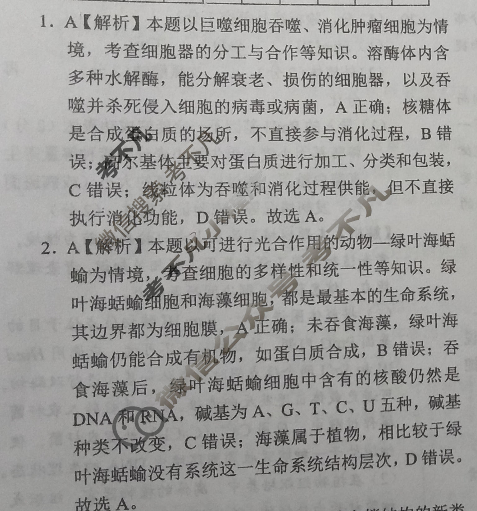 国考1号11(第11套)高中2026届高考适应性检测(一)1生物答案