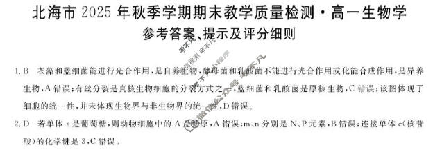 北海市2025年秋季学期期末教学质量检测高一(1月)生物答案