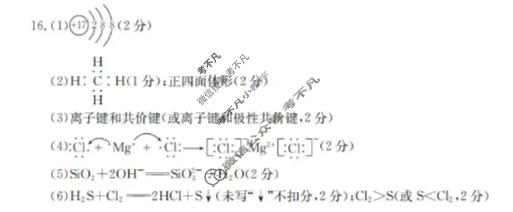 甘肃省金太阳2025-2026学年高一阶段性检测(1.25)化学答案
