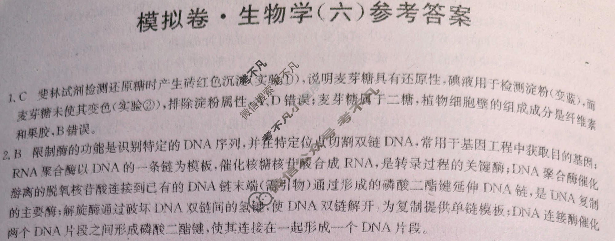 高三2026年普通高中学业水平选择性考试仿真模拟卷(六)6生物E1答案