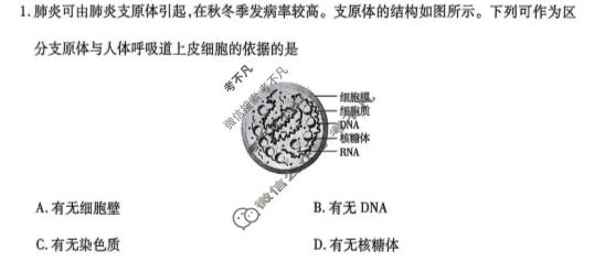[天一大联考]河南省2025-2026学年上学期高一期末生物试题