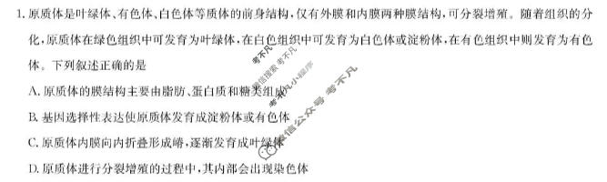 十堰市2026年高三年级元月调研考试(1月)生物试题