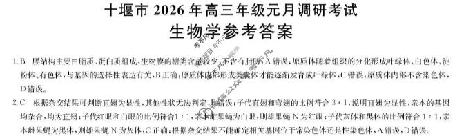 十堰市2026年高三年级元月调研考试(1月)生物答案