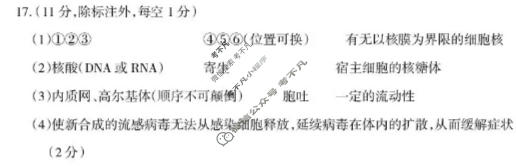 阳泉市2025~2026学年度第一学期期末教学质量监测试题高一(1.29)生物答案