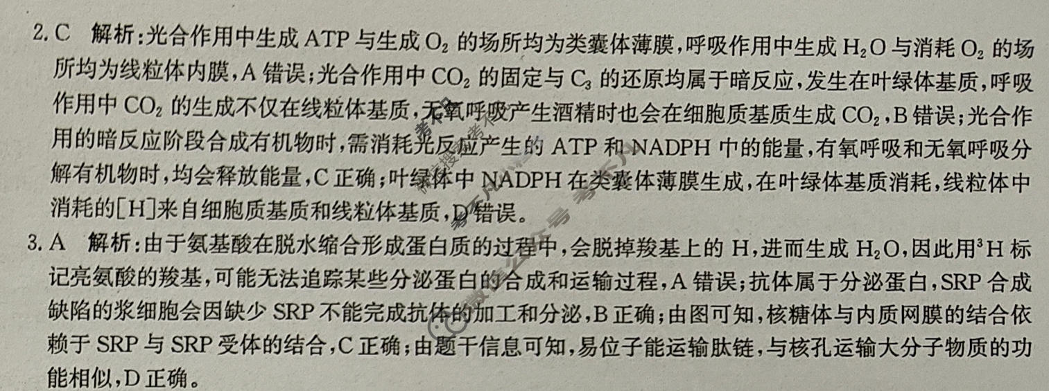 [神州智达]2026年高三省级联测考试二(质检卷Ⅱ)生物答案