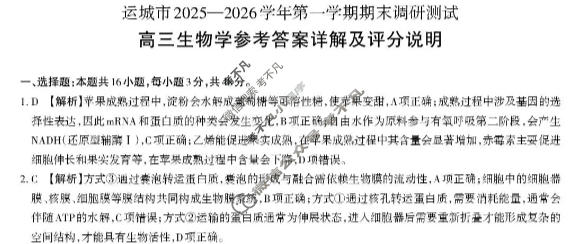 运城市2025-2026学年高三第一学期期末调研测试(2月)生物答案