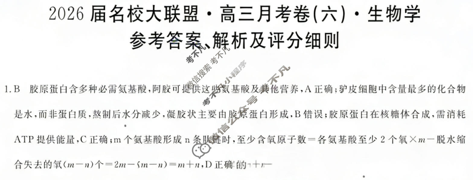 高中2026届名校大联盟·高三月考卷(六)6生物答案