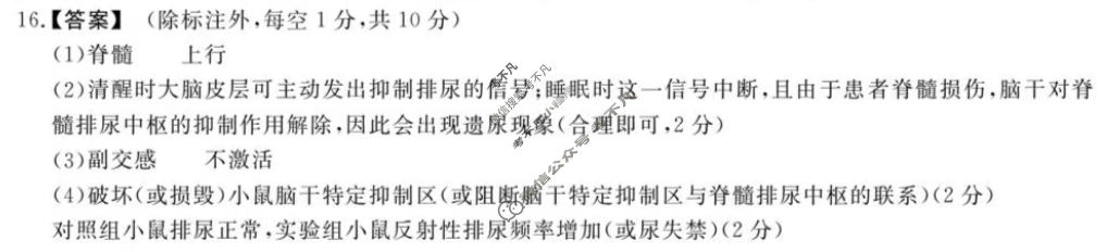 [鼎尖名校]2025-2026学年第一学期高二过程性学科素质评价生物C答案