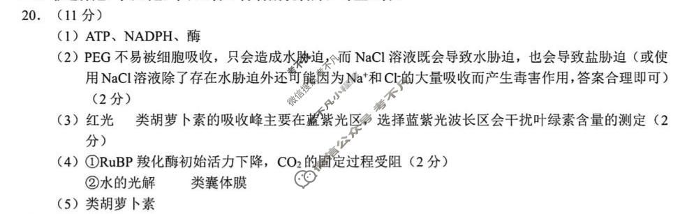无锡市2025-2026学年高三年级上学期期末考试(2月)生物答案