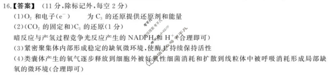 [鼎尖名校]2025-2026学年第一学期高三过程性学科素质评价生物答案