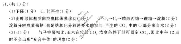 聊城市2025-2026学年高三第一学期期末教学质量检测生物答案