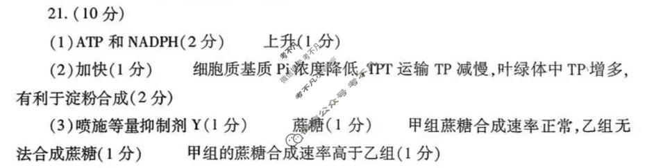 潍坊市2025-2026学年上学期高考模拟考试(2月)生物答案