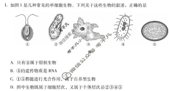 高三2026届云南三校高考备考实用性联考卷(六)6(黑黑白黑白白白黑)生物试题