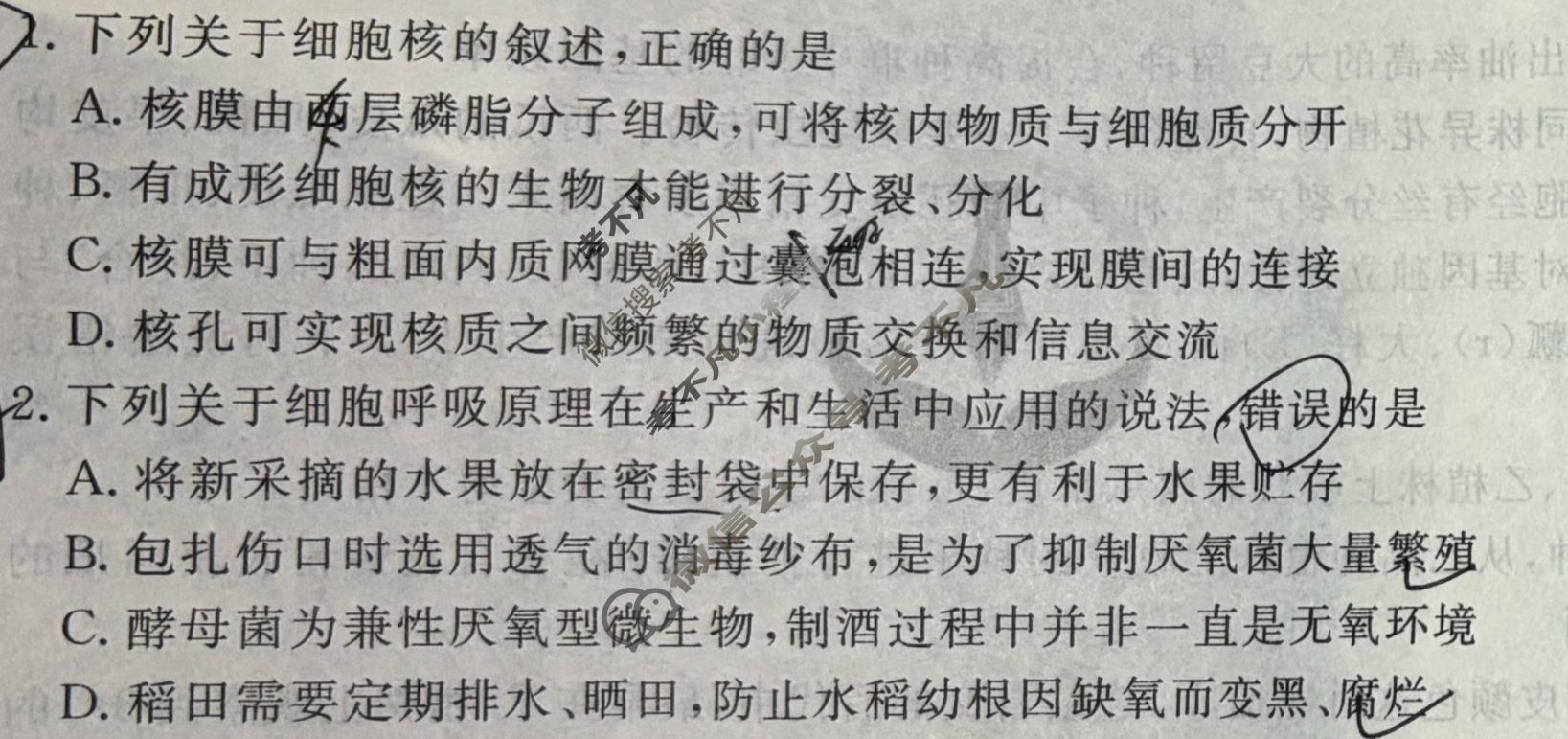 2026年衡水金卷先享题·调研卷 普通高中学业水平选择性考试模拟试题 生物学AH(二)2试题