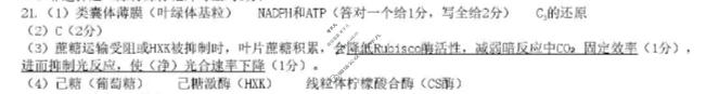 黑龙江省实验中学2026届高三联合模拟考试(3月)生物答案