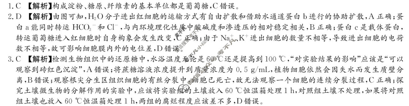[炎德英才大联考]2026年湖南新高考教学教研联盟高三3月联考(XLM1)生物答案