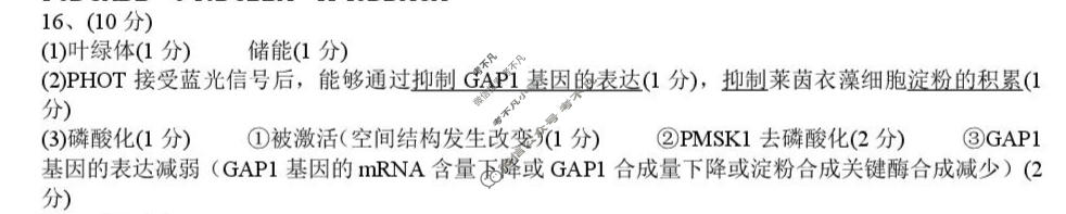 树德中学高2023级高三下学期入学考试生物答案