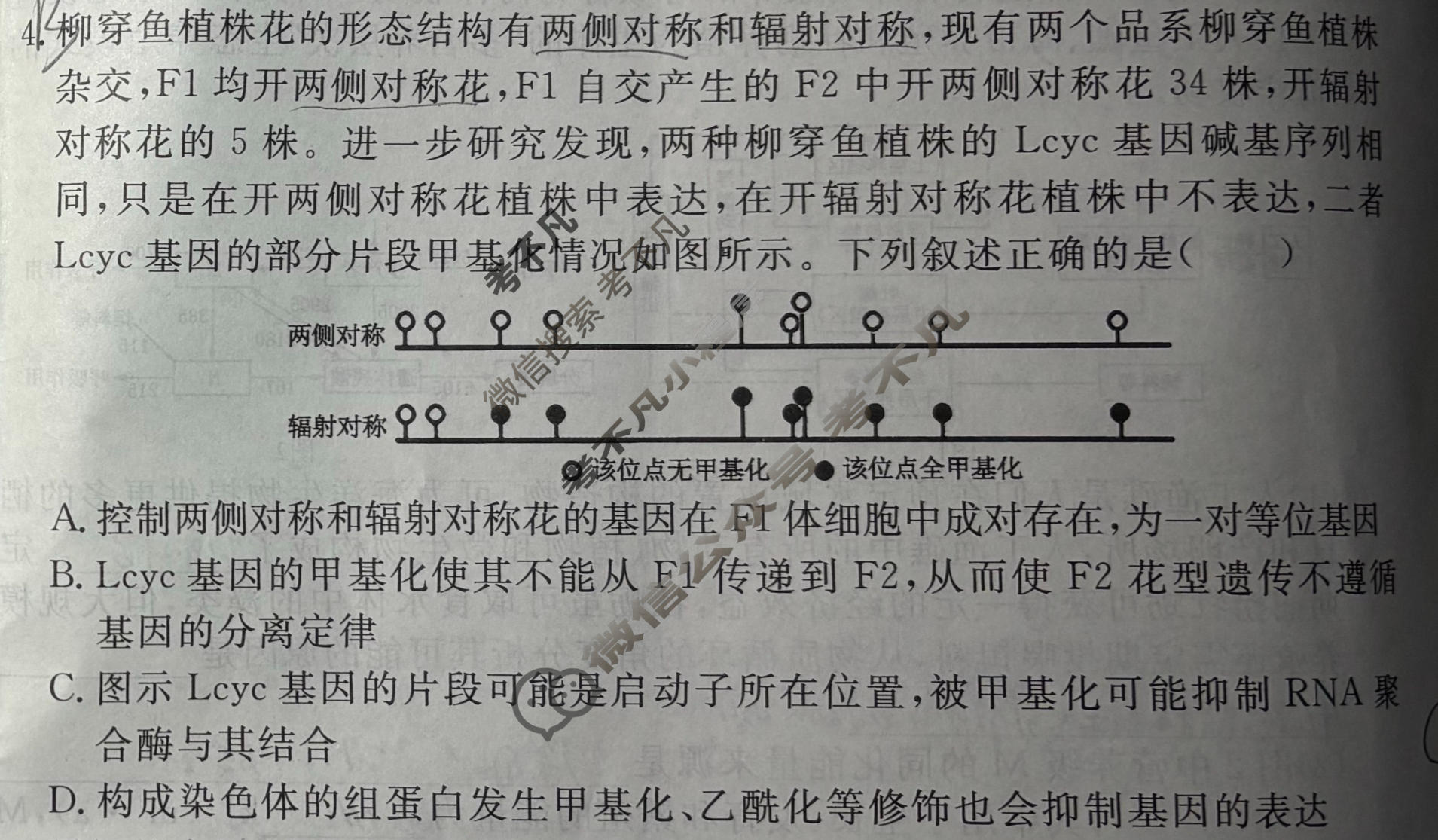 [耀正文化]2026年安徽省普通高中水平选择性考试模拟卷(五)生物试题