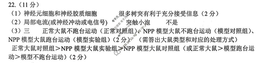 延边州2026年高三教学质量检测(3月)生物答案