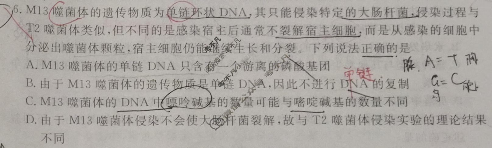 2026年衡水金卷先享题·调研卷 普通高中学业水平选择性考试模拟试题 生物学Y(二)2试题