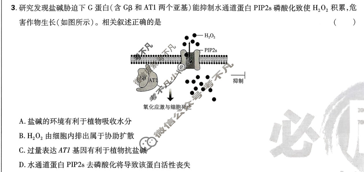 高考必刷卷 2026高三临考冲刺卷(卷2)生物试题