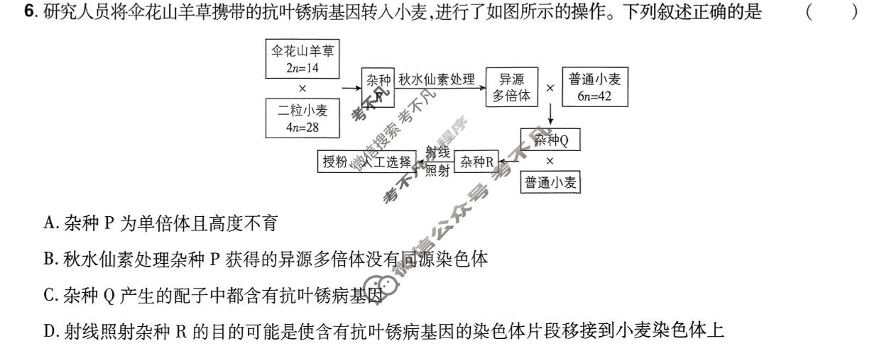 [高考必刷卷]卷10 2026年普通高中选择性考试 临考冲刺卷(二)2生物(选考)试题